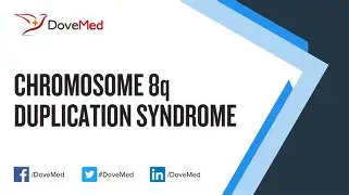 錖a翞-P寣q鑽8q鈎?2的简单介绍-lol下注网站